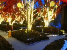 找我低价:98平410萬,113平460萬,151平773萬