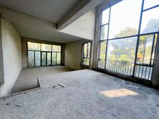 上河居别墅1100 大花园500平边户前后左右都有住人随时看