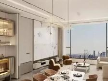 开发商直给钜惠 单价5.8w 找我省3年物业费 精装大平层