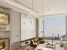 开发商钜惠 准现房 改善大平层 近地铁 家电和三年物业费