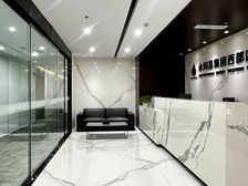 高新区天府二街精装带家具 政务中心旁 9隔间30工位 租35