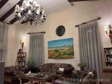 万万树大花园 美式独栋 位置居中 桃源生活从这里开始
