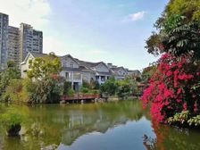 新上|实用1000平 水榭花都临湖别墅 带私家码头 垂钓自由