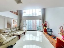 新出|世纪村顶复式|直降600万急售|四层|实用达680多平