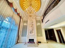 新挂牌岛屿大独栋!精装修拎包入住,花园临河!