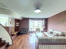 二沙岛新世界棕榈园 叠墅上叠带天台 通风采光好安静