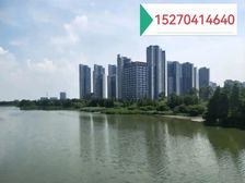 超笋!捡漏盘 首付15万!地铁口 广外在旁 均可