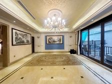 好房别墅!照母山精装联排别墅!有电梯!有挑空花园单层100平