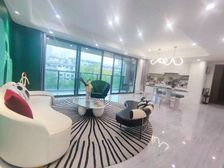 西附旁精装花园洋房带露台,公园头排视野开阔,临商圈轻轨