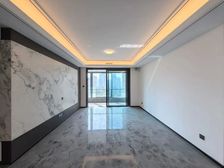 江北嘴 天澜道 豪宅平层 业主急售 三轻轨 推荐 必看好房!