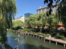 西直门新街口积水潭鼓楼大街,北广大厦白孔雀艺术世界37平27