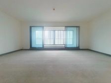 公园大道清水大平层,高端品质,视野开阔,业主急售。近地铁