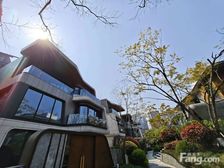 天湖岛 重庆独栋天花板 单层200平 花园300平