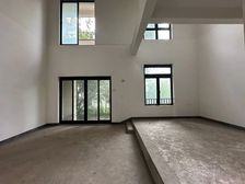 直降50万 照母山 世茂法式联排端户 带大花园