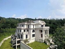 直降200万 龙湖舜山府独栋 靠山看公园 花园1000平