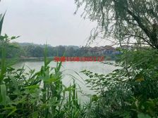 渝北鸳鸯 橡树澜湾临湖独栋 视野开阔 花园近500