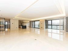 翠湖天地嘉苑 4室2厅4卫 精装修 6500万元