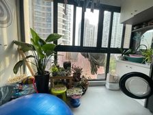 易居独享,带车位,06年园林三房,电梯小高层,中星集团开发