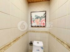 外滩一线江景房,陆家嘴和 外滩全景观,小高层做北朝南
