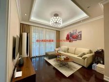 金地松江艺境电梯房拎包入住前后无遮挡高端小区