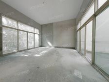 联排毛坯别墅上下四层,位置安静满五年 价格可以谈 急卖急卖