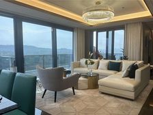 国企 一线头排看江 大平层现房 大师艺术园林院落 近轻轨