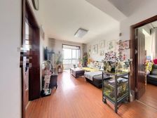 锦绣河山采光好婚房装修全明格局 无个税 17年次新小区