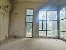 上河居独栋别墅出售 格局方正 送溜白平花园 产权清晰