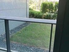 九龙湖洋房天花板,带地下室,带车位诚心出售价格可谈带地下室