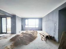 (东端户)纯一线看江端户 好楼层视野采光好 随时可看