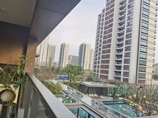 萧山市心路旁 双地铁口 保利崇璟和颂府精装小高层住宅92折售