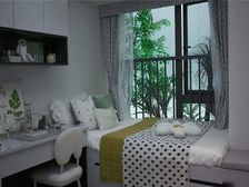 沙区 万科精装洋房 横厅3房 火爆热销盘++轻轨