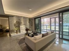 抵款房(5朵金花+7龙珠)沙区成熟区,精装修洋房,轻轨站60