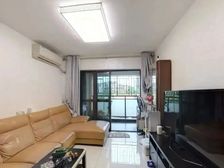 黄埔科学城时代春树里中高三房 西南 精装 视野无遮挡 随时看