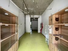 物业直租丨传媒大学南向 鲜花 宠物店 水站 茶馆 社区
