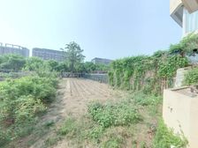 大兴机场别墅区 龙景湾甲区211.88平 大园子