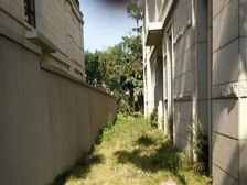 万科朗润园 实用面积600平 南北朝向大花园仅售550万