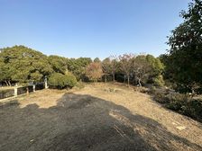 红谷滩自带两千平毛呸独栋,地势高,视野开阔,稀缺大花园别墅