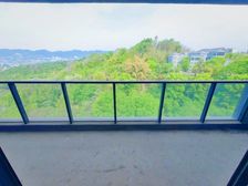 7月新上,10天必卖好房,礼嘉江湾山景洋房,可看江!