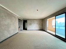 来电少10颗!公园头排!一梯一户大平层!业主急售!真实