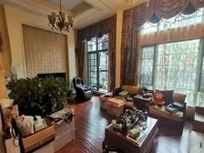 东丰林居 236平4居 精装修 近18号沈梅路站 诚售!
