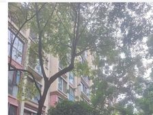 急131万可按揭!仅契税!近地铁!皇冠国际3