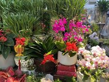 41平|小商铺|礼品店|鲜花绿植礼品店|美发文具玩具店|线上