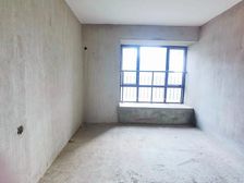 九龙湖花园二区 双卫 南北通透 产权清晰 房龄新 有电梯