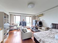 恋日绿岛 1室0厅 54.84平