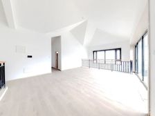 山水樾澜院 5室3厅 493.99平 狮子山脚下 联排别墅