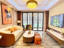 临深大四房 全新精装修 业主从未入住 价格好了 带车位