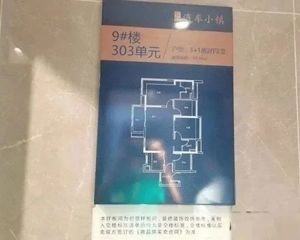番禺智联汽车小镇 精装中高南向四房 看花园准现房 随时看房