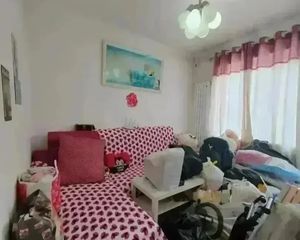 西城 广外片区 南北 全明 两居 低楼层 395
