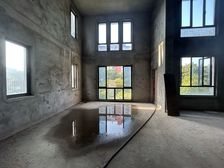 中央香榭稀缺鼎级大别墅 超大使用面积 带大花园 莱电咨询